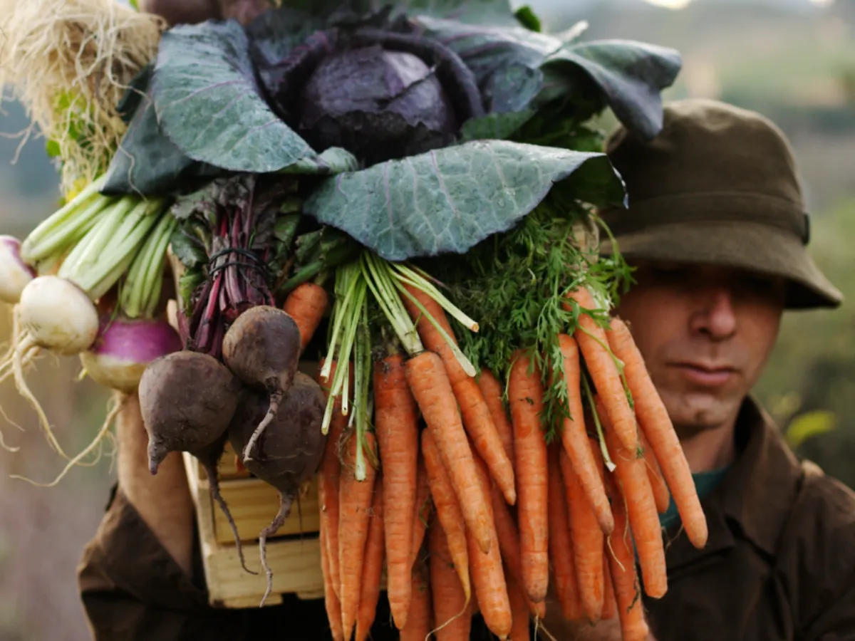 Farmers and agriculture