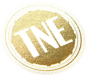 The TNE Coin